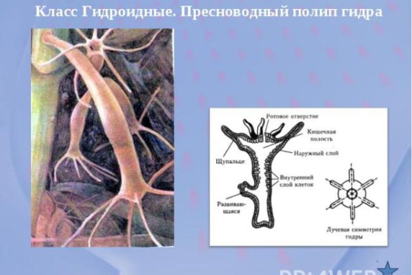 Кракен сайт ссылки актуальные