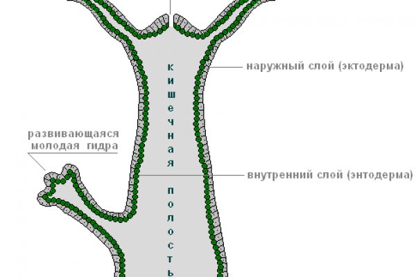 Где найти ссылку кракен